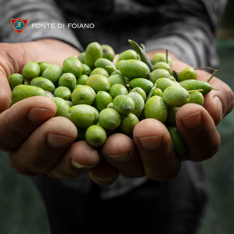 丰迪福亚诺特级初榨橄榄油 TOSCANO IGP 托斯卡纳 IGP 500ml/250ml/100ml 全程冷链进口 京东自营仓控温仓储(天津现货)